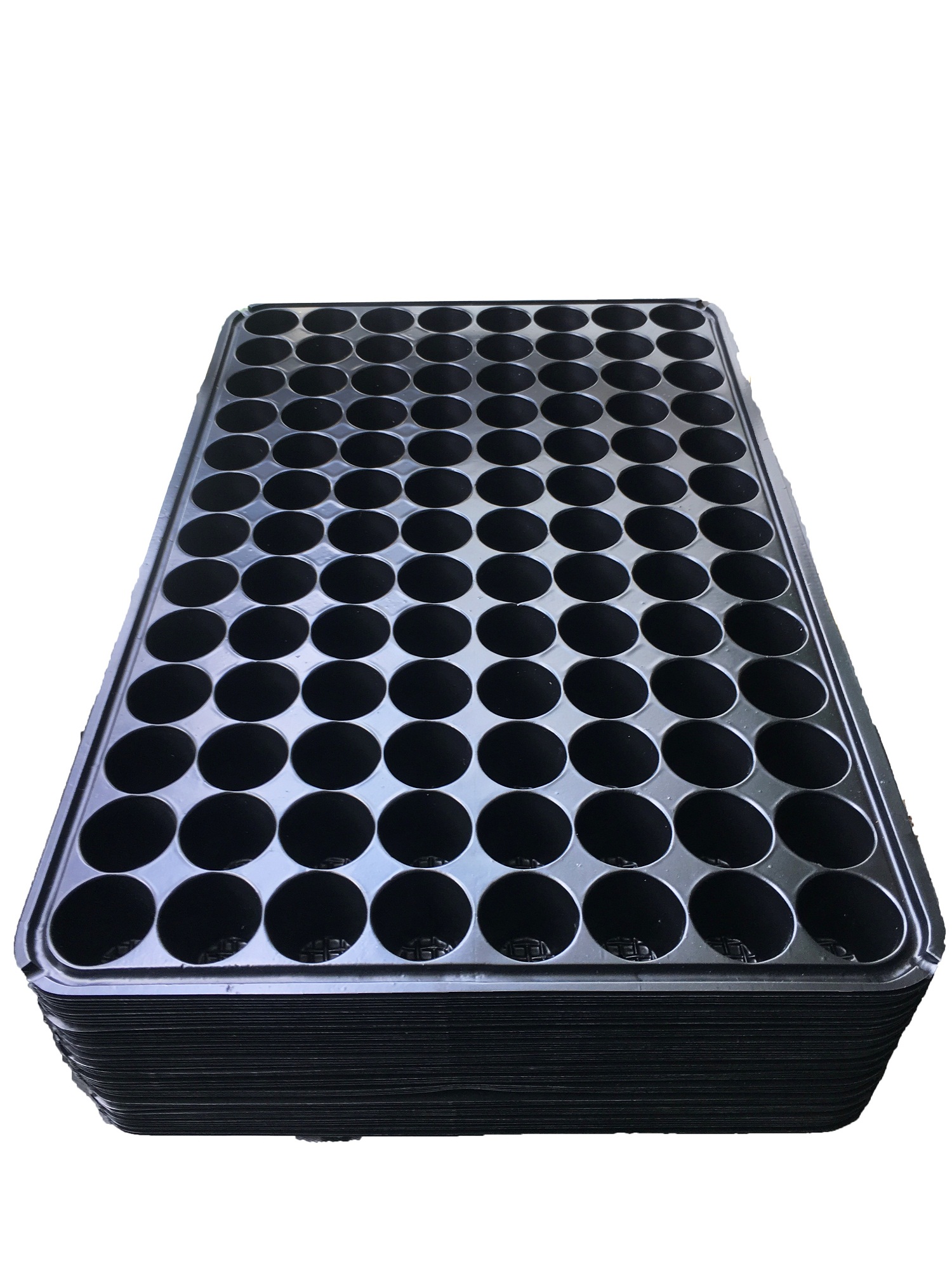 Seedling Trays